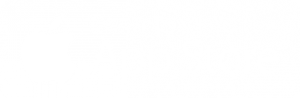 Logo download on the App Store